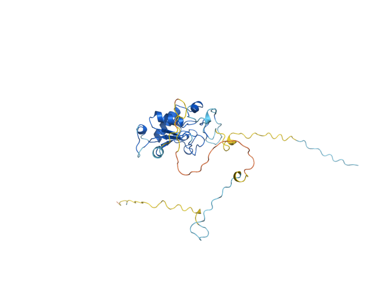 AlphaFold predicted structure of SEC65