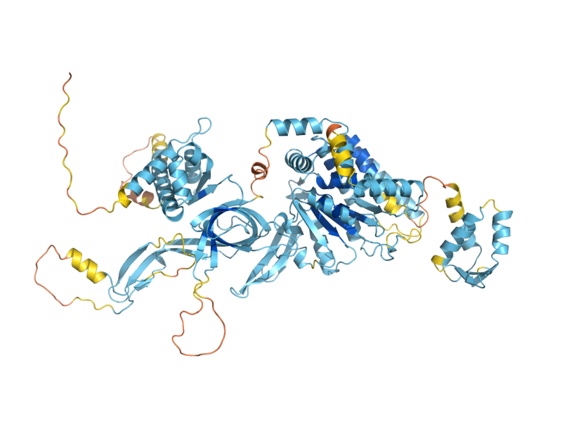 AlphaFold predicted structure of MCM5