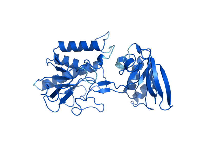 AlphaFold predicted structure of TRR1