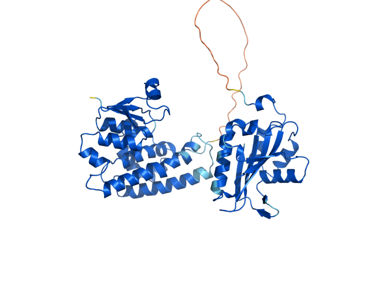 AlphaFold predicted structure of CAM1