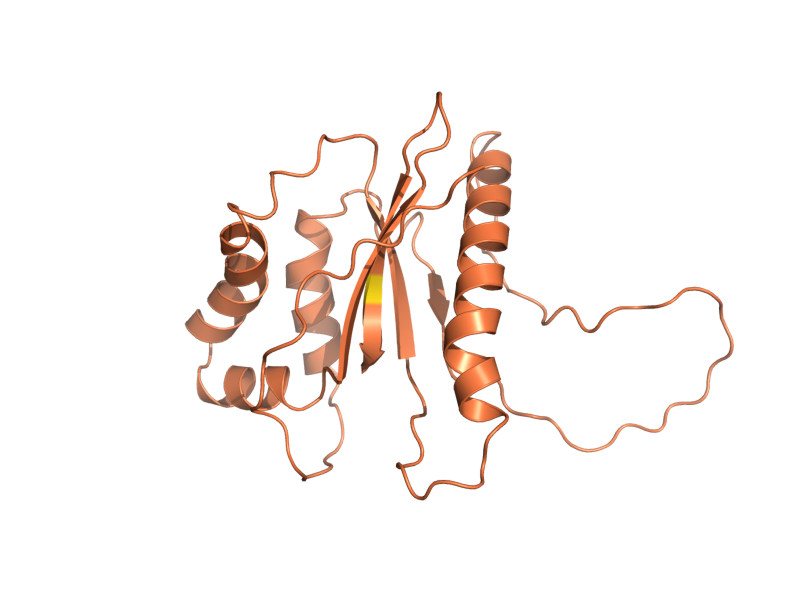 AlphaFold predicted structure of AHT1