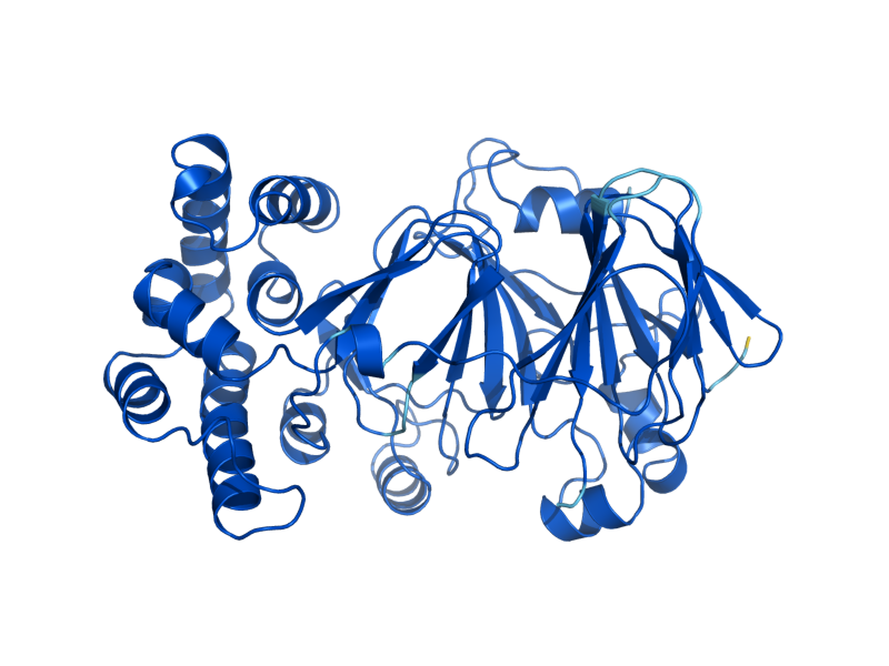 AlphaFold predicted structure of PMI40