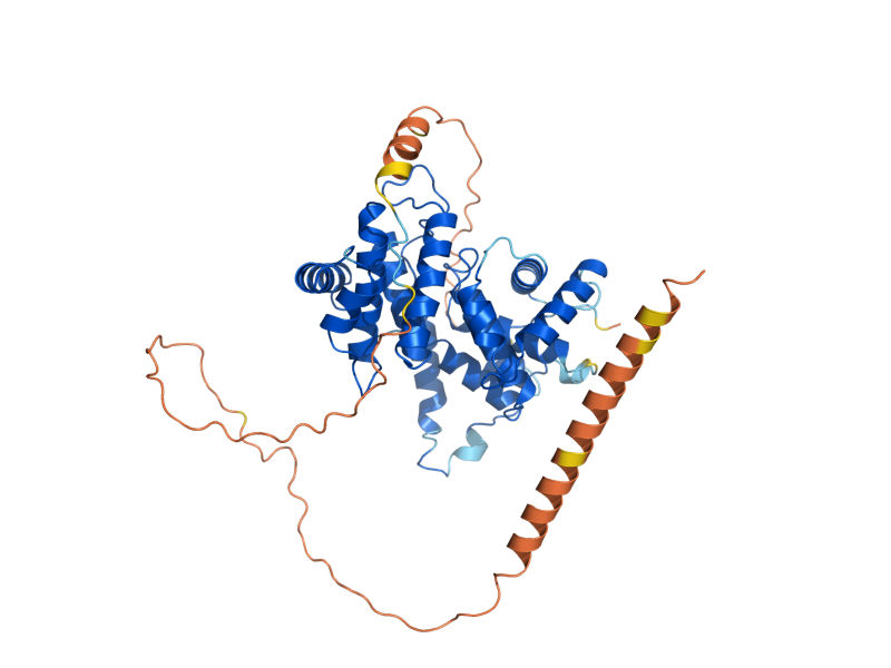 AlphaFold predicted structure of CLB5