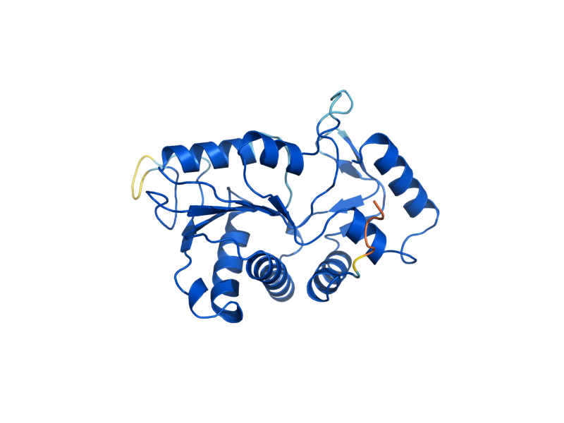AlphaFold predicted structure of URA10