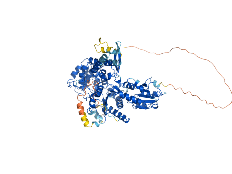 AlphaFold predicted structure of SEC1