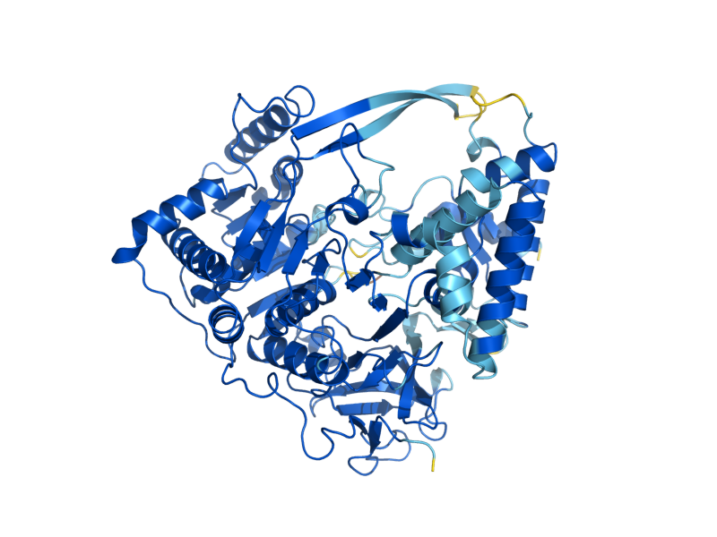 AlphaFold predicted structure of FAA1