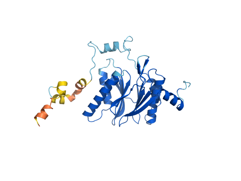 AlphaFold predicted structure of PRE2