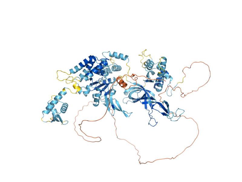 AlphaFold predicted structure of MCM4