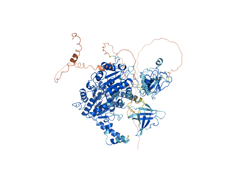AlphaFold predicted structure of NAM7