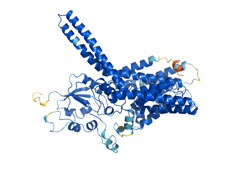 AlphaFold predicted structure of GPI10