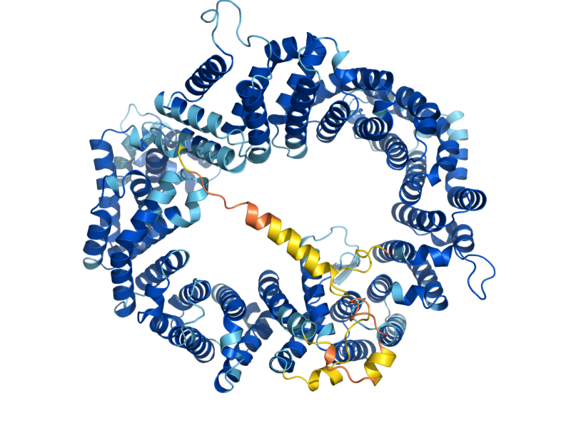 AlphaFold predicted structure of CRM1
