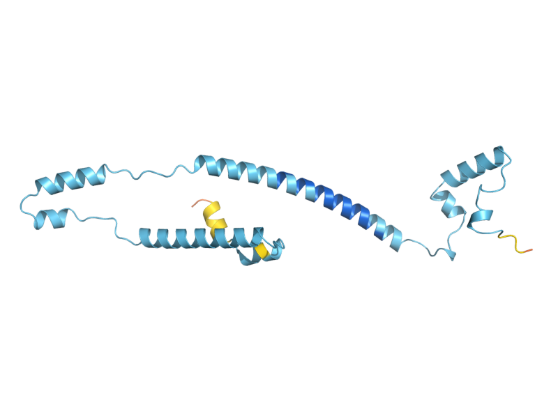 AlphaFold predicted structure of ATP7
