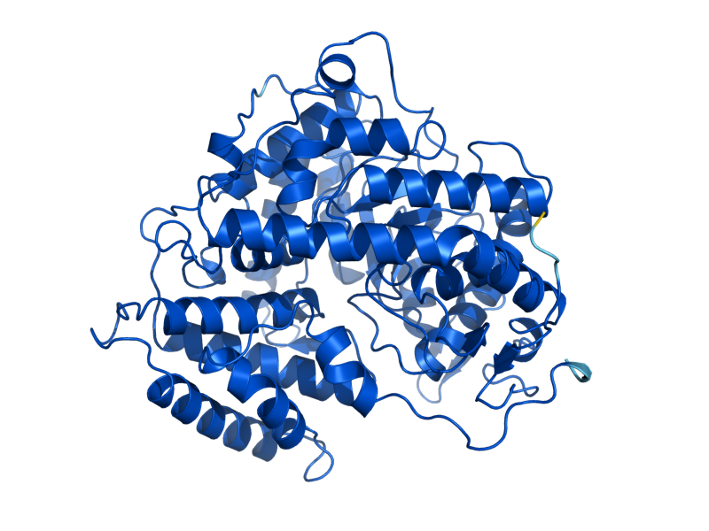 AlphaFold predicted structure of MLS1