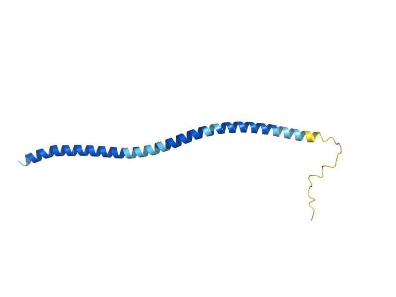 AlphaFold predicted structure of SNC1