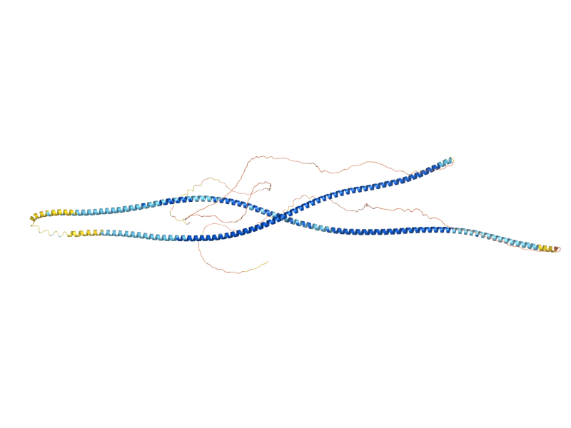 AlphaFold predicted structure of ZIP1