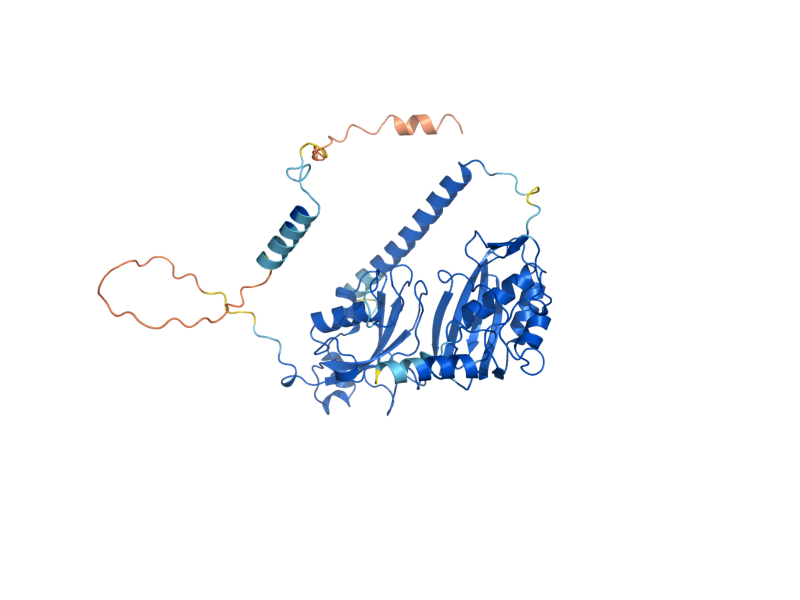 AlphaFold predicted structure of DEG1