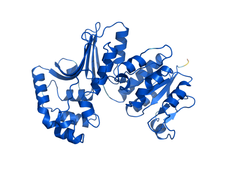 AlphaFold predicted structure of HOM6