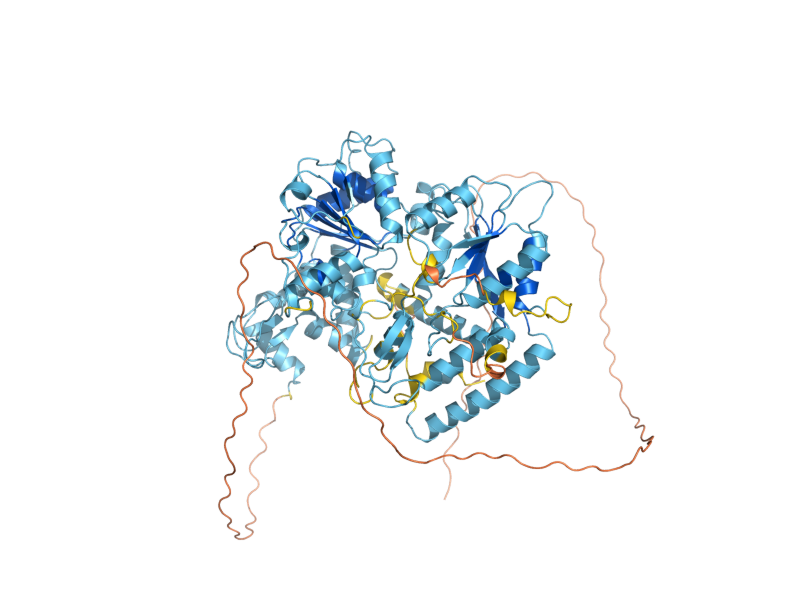 AlphaFold predicted structure of RAD16
