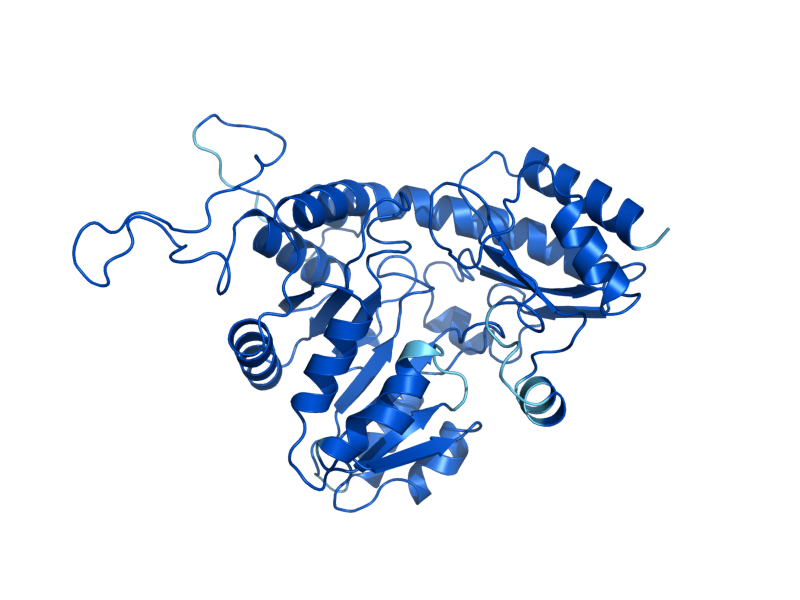 AlphaFold predicted structure of CYS3