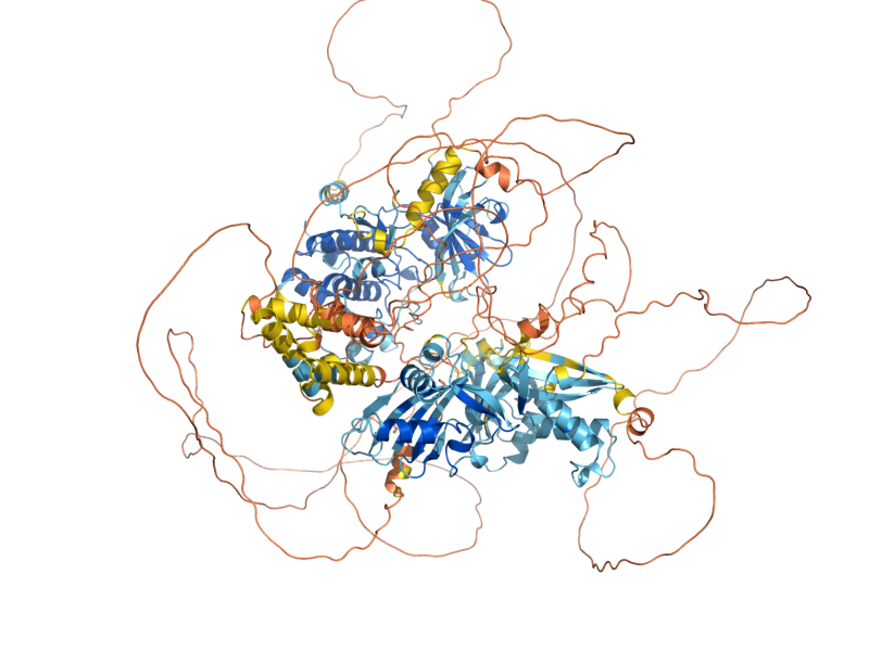 AlphaFold predicted structure of PSK1