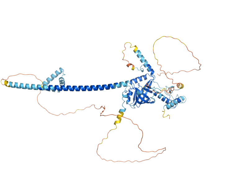 AlphaFold predicted structure of SWC3