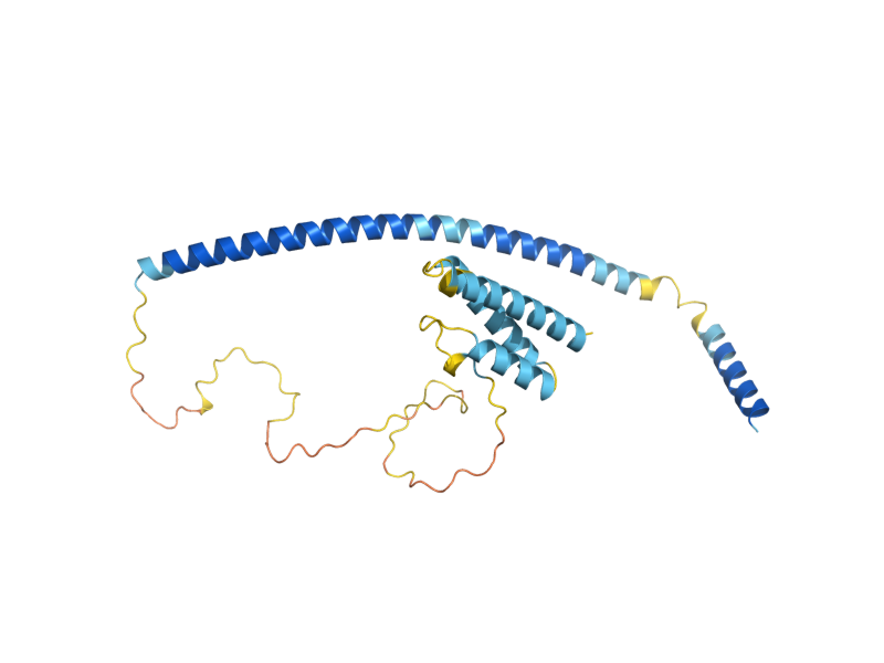 AlphaFold predicted structure of SYN8