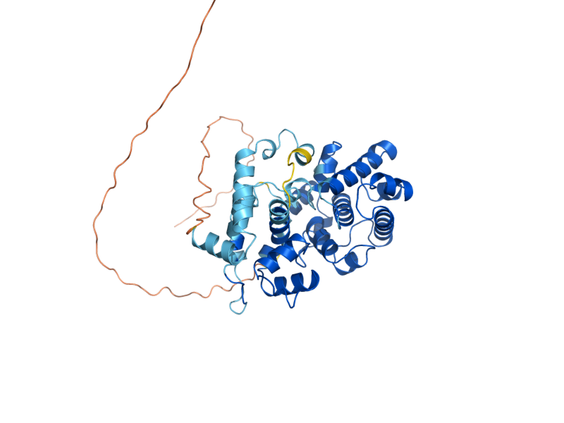 AlphaFold predicted structure of NTG1