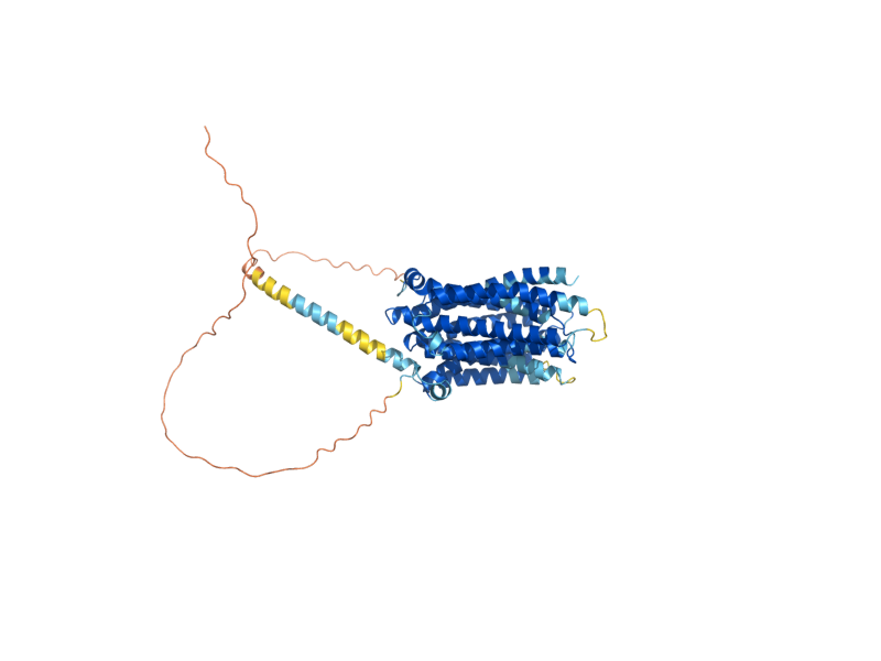 AlphaFold predicted structure of FUN26