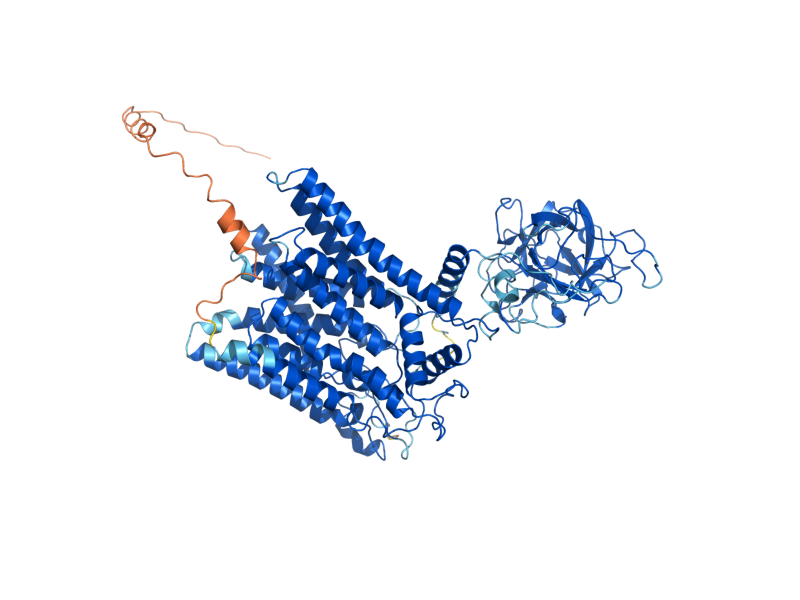 AlphaFold predicted structure of PMT2