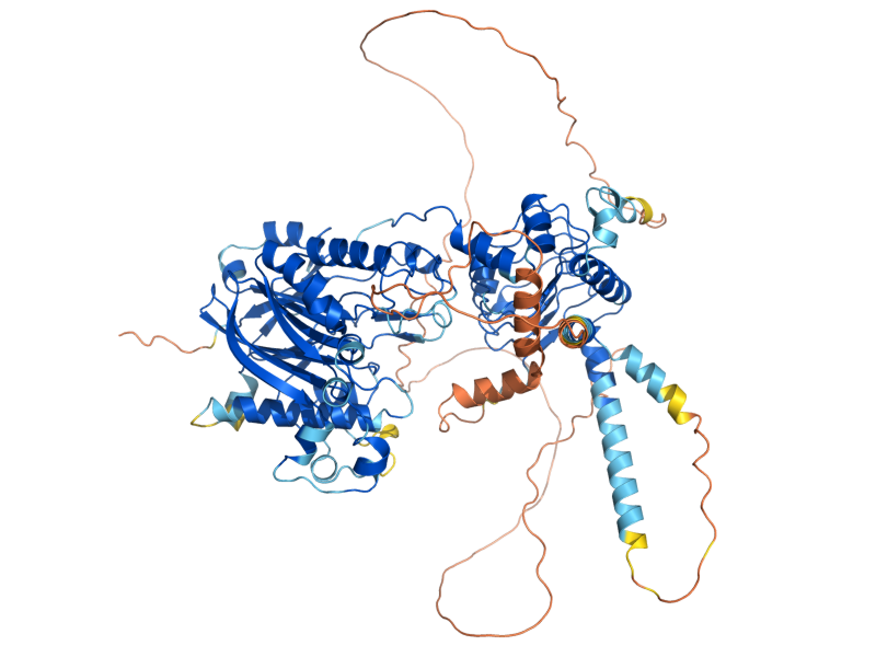 AlphaFold predicted structure of CCR4