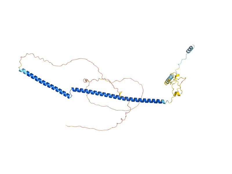 AlphaFold predicted structure of DEP1