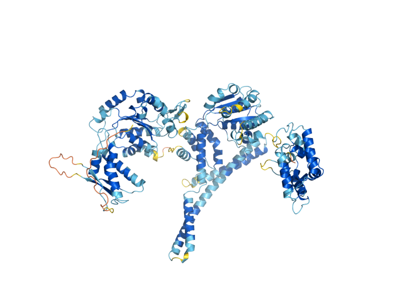 AlphaFold predicted structure of HSP104