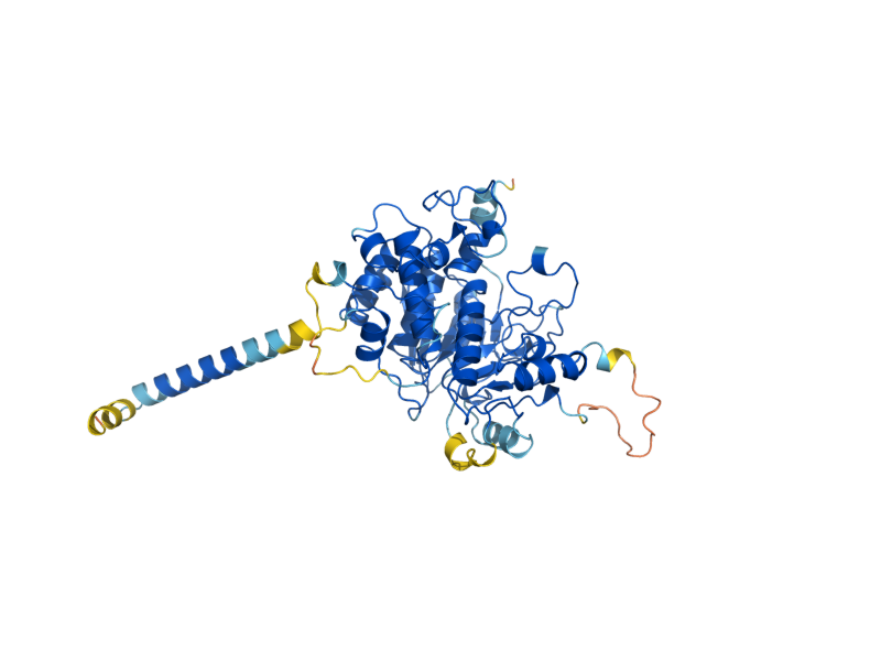 AlphaFold predicted structure of OCH1