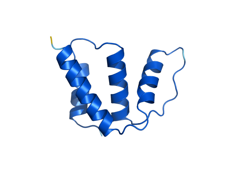AlphaFold predicted structure of ACB1