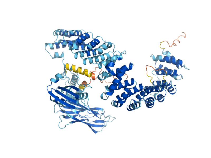 AlphaFold predicted structure of SEC21