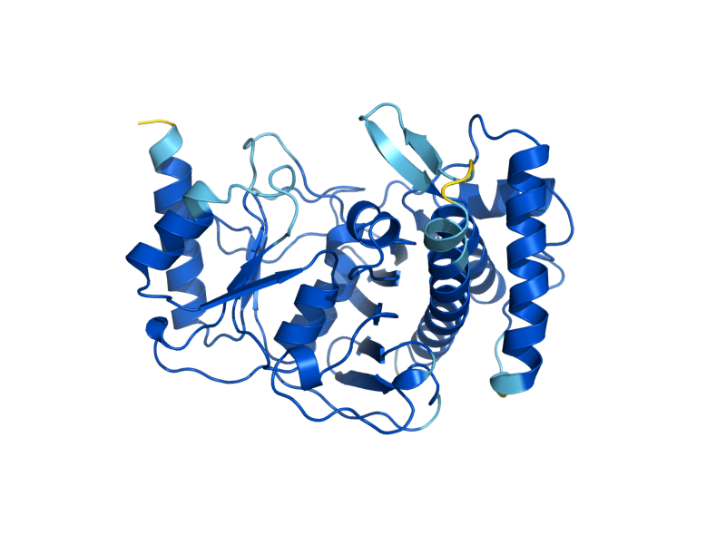 AlphaFold predicted structure of MET22