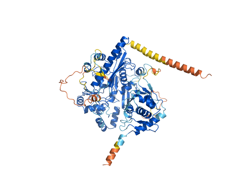 AlphaFold predicted structure of GUT1