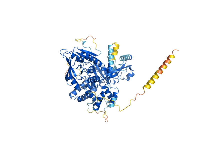 AlphaFold predicted structure of GUT2
