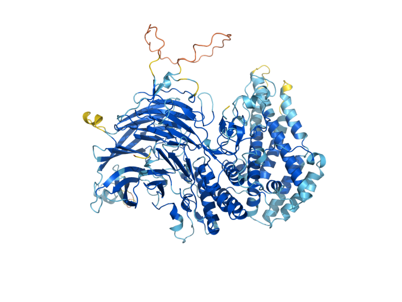 AlphaFold predicted structure of SIN4