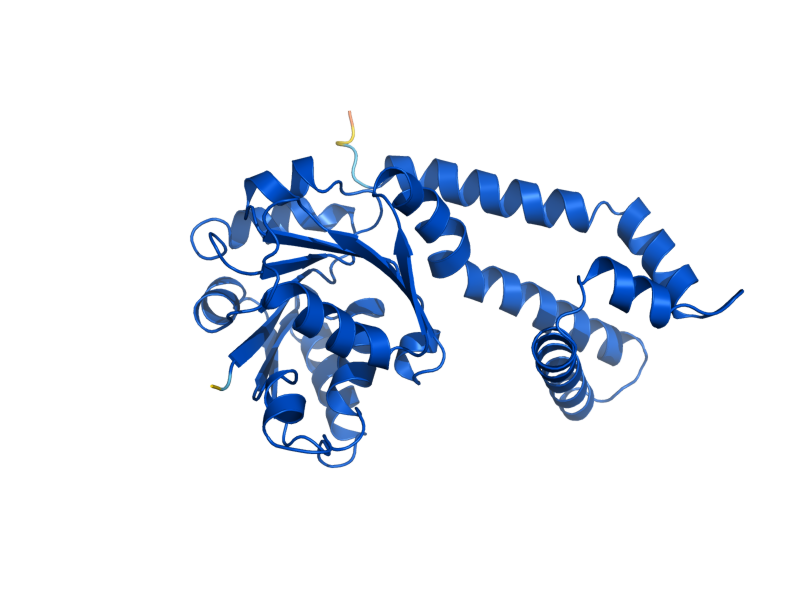 AlphaFold predicted structure of PRO3