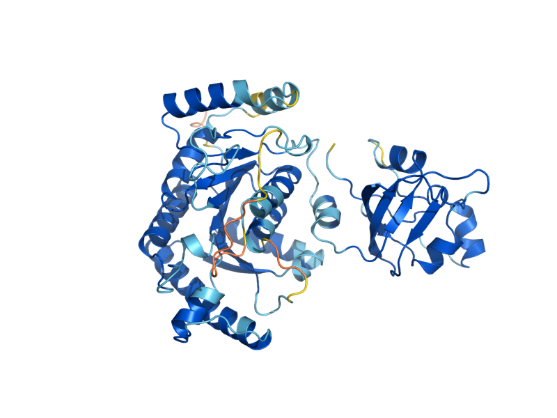 AlphaFold predicted structure of PRO1