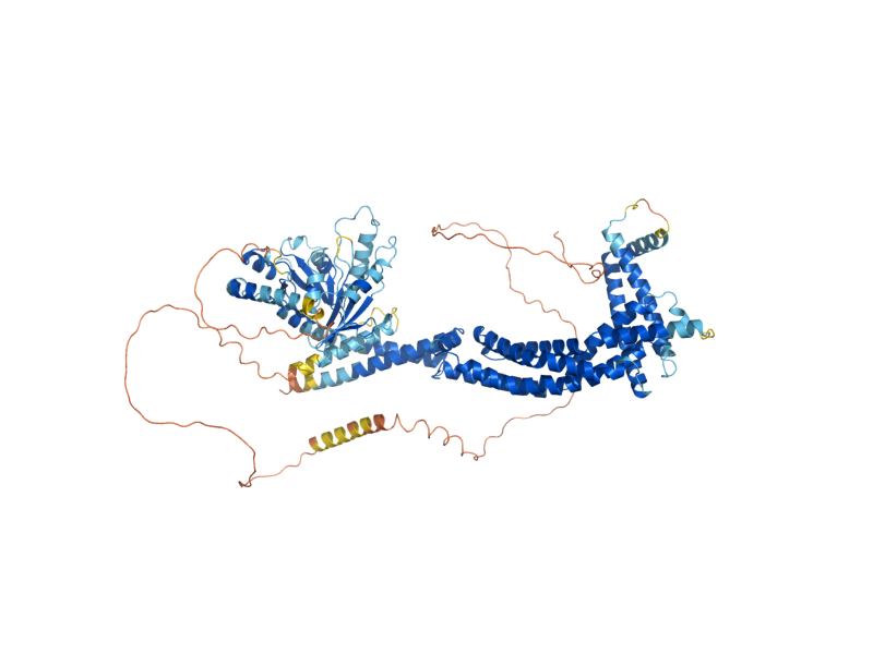 AlphaFold predicted structure of MGM1