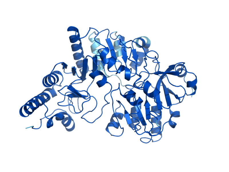 AlphaFold predicted structure of ACH1