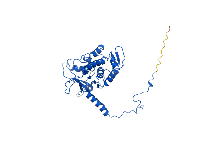 AlphaFold predicted structure of THI4