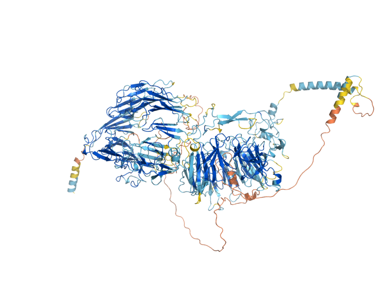 AlphaFold predicted structure of PEP1