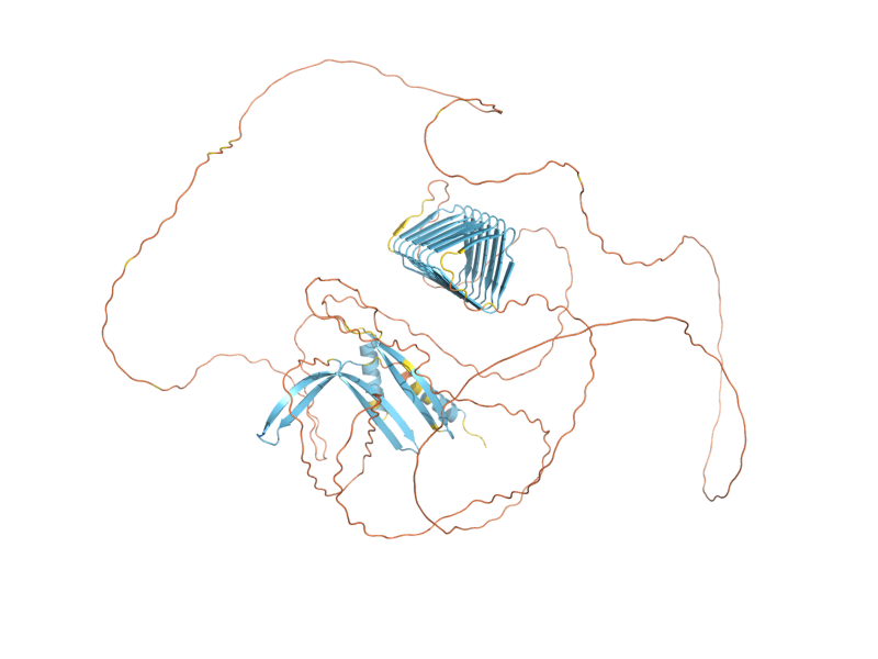 AlphaFold predicted structure of AGA1