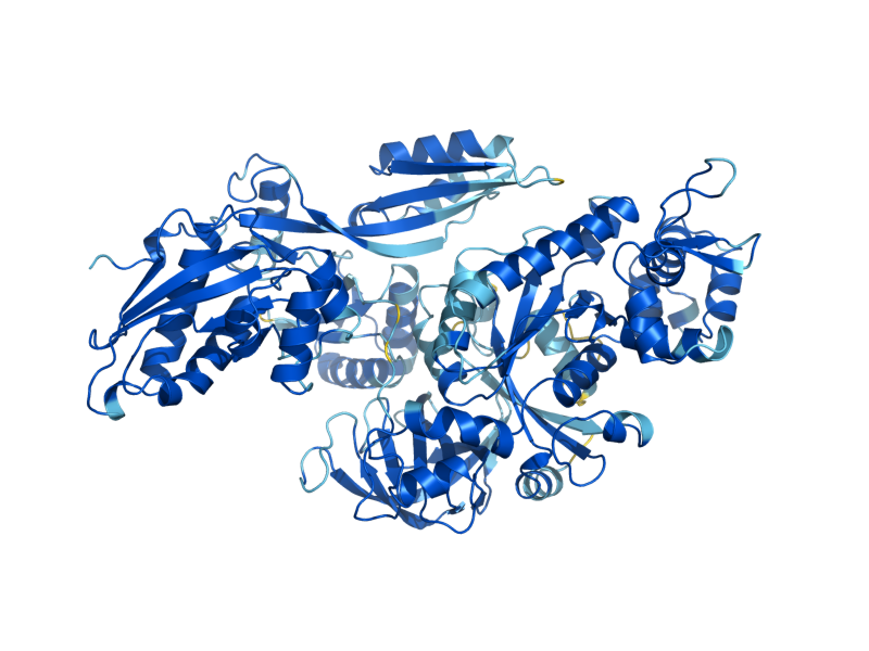 AlphaFold predicted structure of EFT2