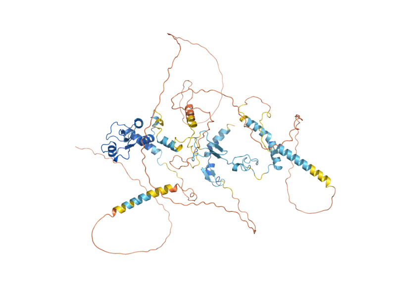 AlphaFold predicted structure of DBF4
