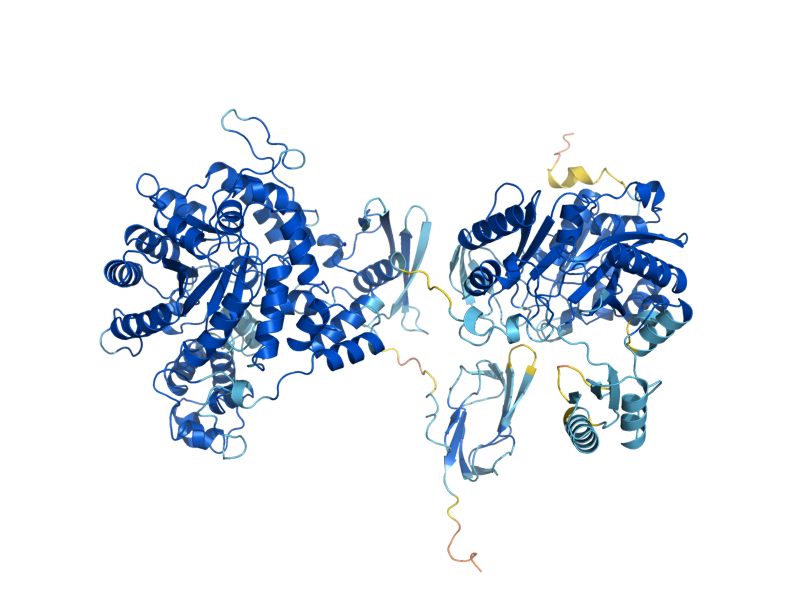 AlphaFold predicted structure of PYC2