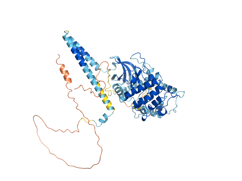AlphaFold predicted structure of DBF20